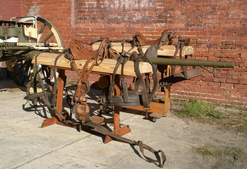 M1904 Saddles with M1916 harness