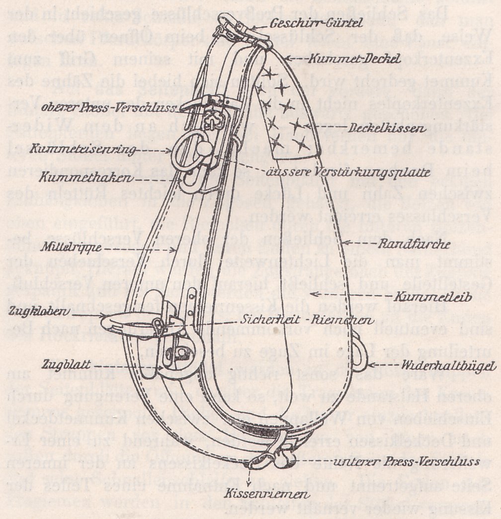 Austro-Hungarian Horse Collar