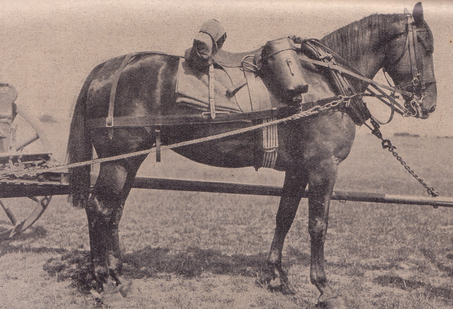 Bavarian Field Artillery Rig