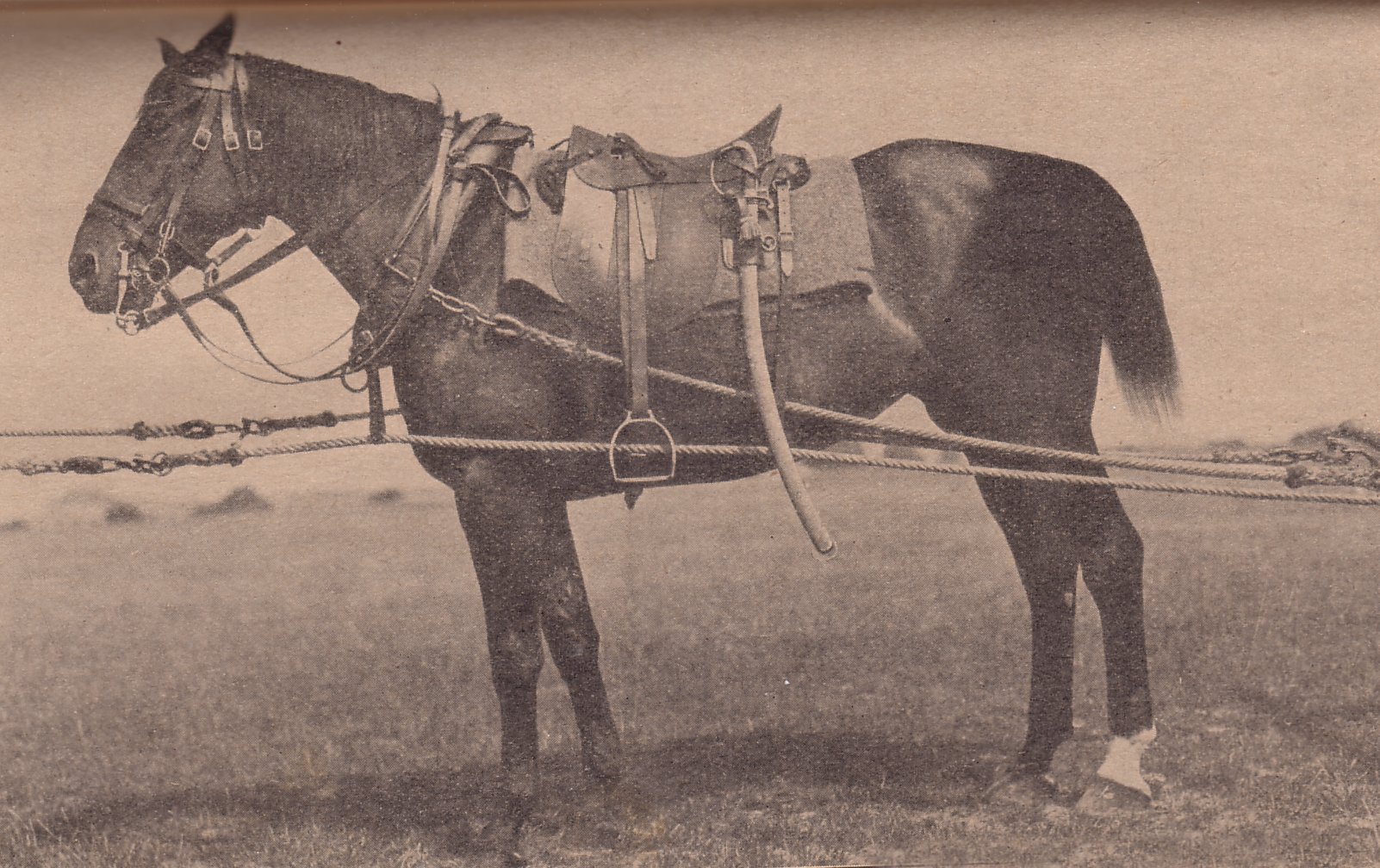 Bavarian Field Artillery Rig