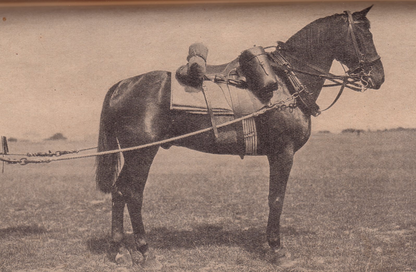 Bavaria Field Artillery Rig