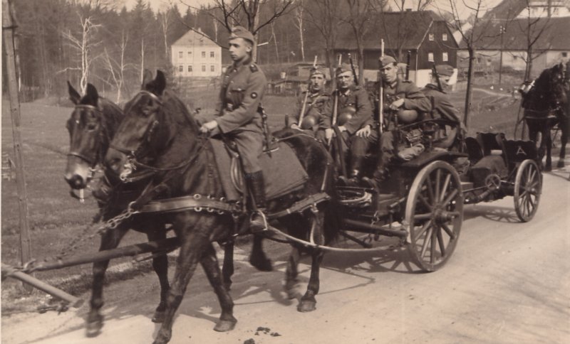 WW2 German Horse Team with a 7,5cm IG18