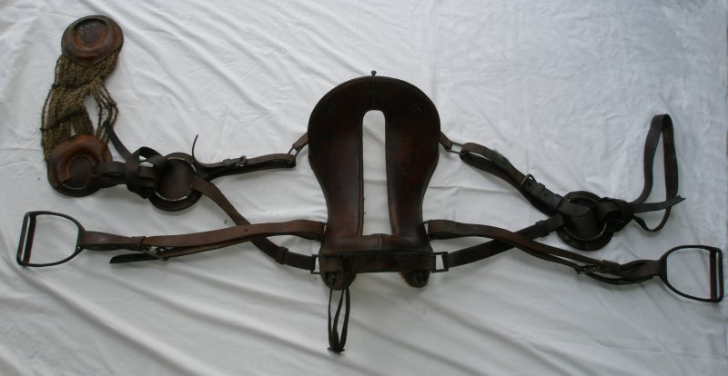 US 1904 Saddle