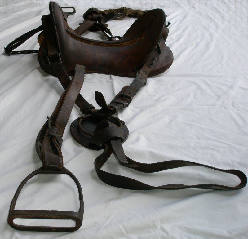Side view of the M1904 Saddle 