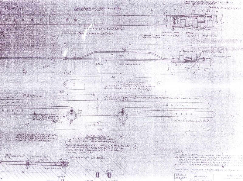 Breast Collar Details
