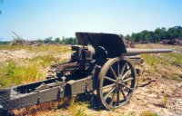 10cm Kanone 1917 in down position side view